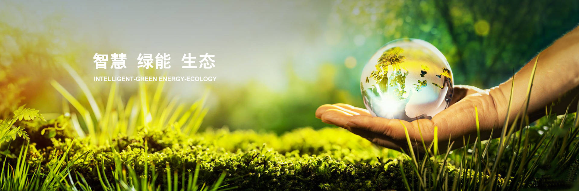 bet8·(股份)有限公司官网