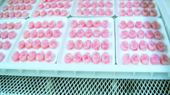 尺度（高效）隧路式快冻装置（网带）