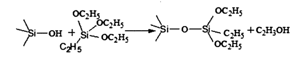 й88858cc(ɷ)ٷվ